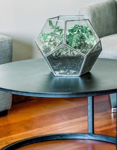 interior-designer-11